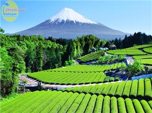 Du lịch núi Phú Sĩ Nhật Bản ngọn núi đẹp nhất xứ Phù tang
